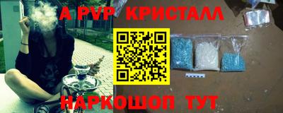 СК Новокубанск