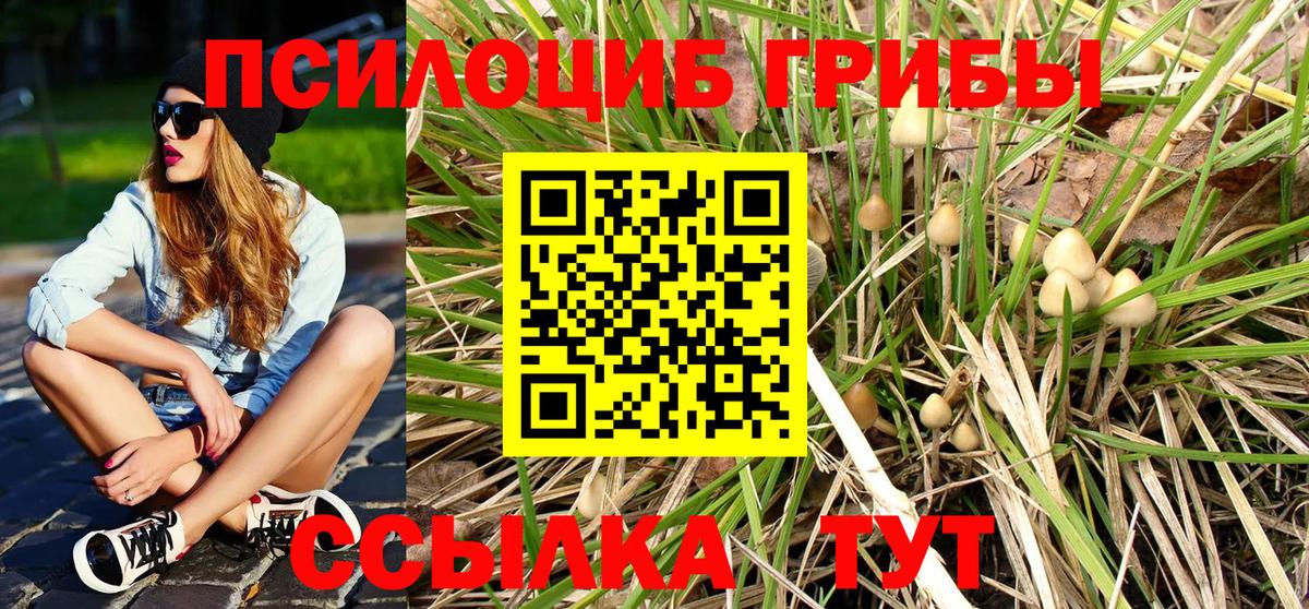 Галлюциногенные грибы Magic Shrooms Светлоград