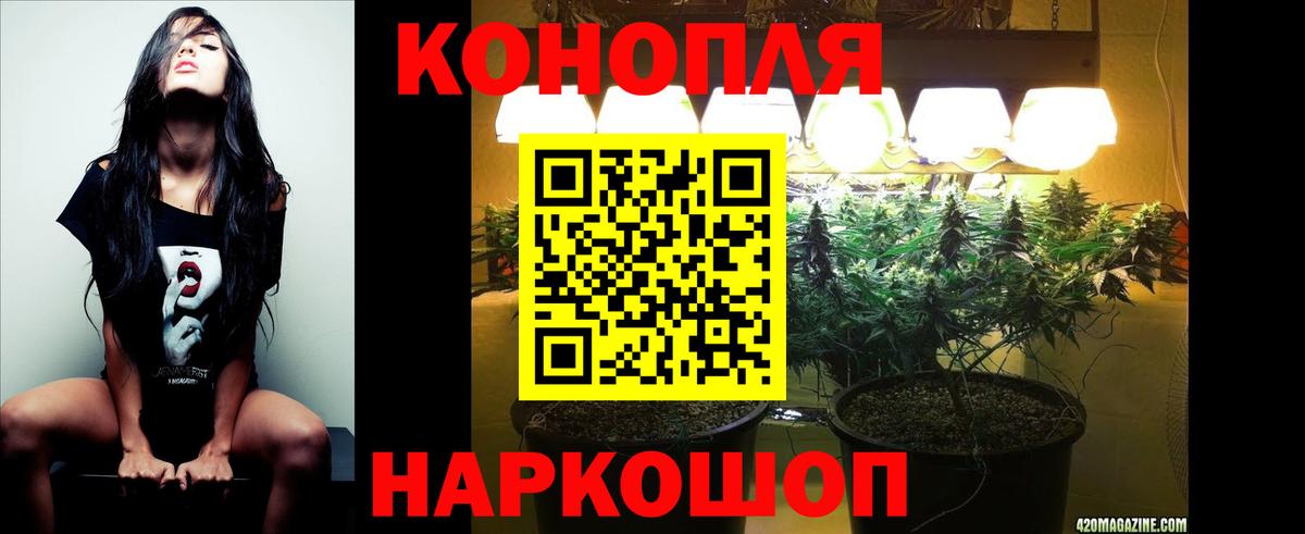 Конопля план  Вход с VPN  Конопля White Widow  Светлоград  Бошки марихуана план 